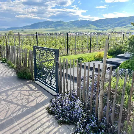 아파트 Proche Colmar Vignoble 웨톨스하임